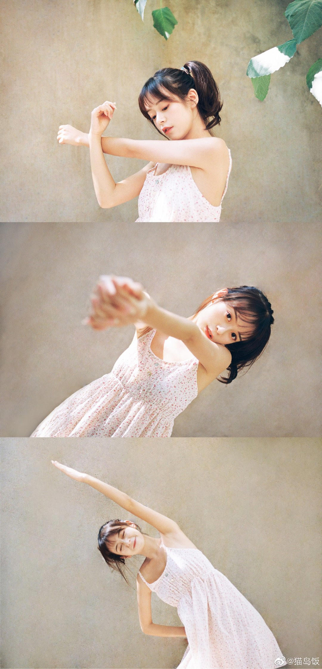 中秋节记事作文